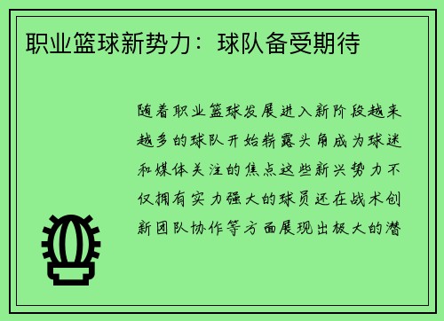 职业篮球新势力：球队备受期待